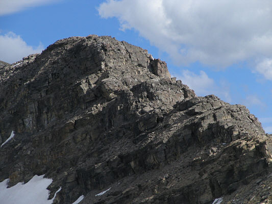 This looks like fun!