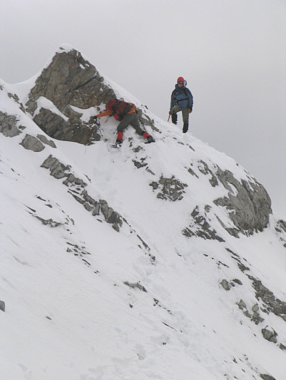 I wonder if this would be easier or harder without the snow.