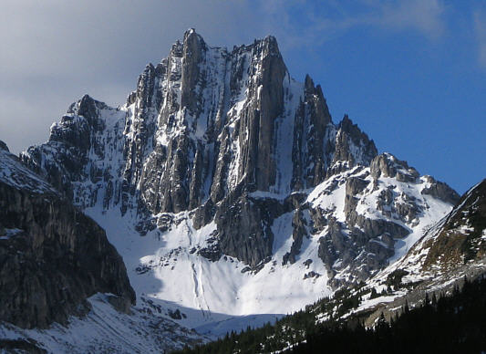 It's definitely the cat's meow!