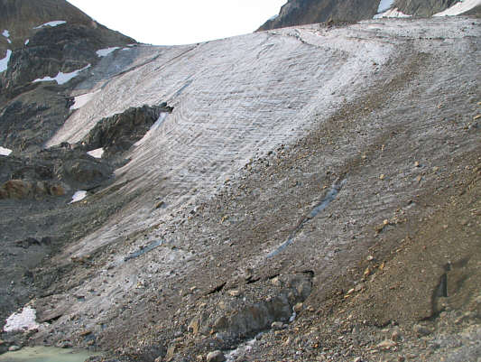 Wonder how much longer this ice will last...