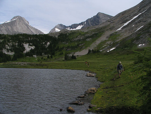 Lotsa annoying mosquitoes here.