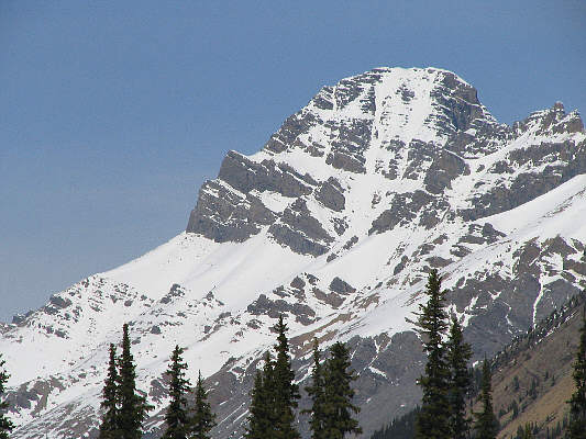 Hmmm...doesn't look like it's in any shape for scrambling!