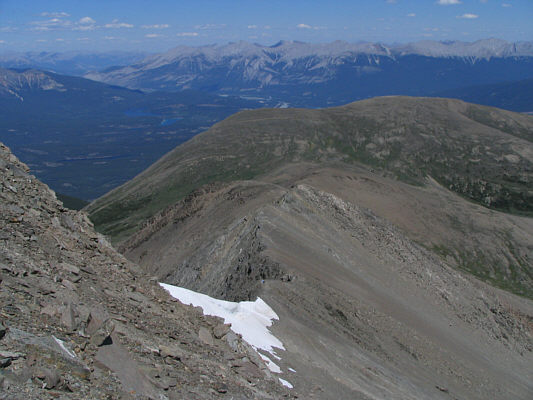 You have a keen eye if you can spot Kelly in this photo.