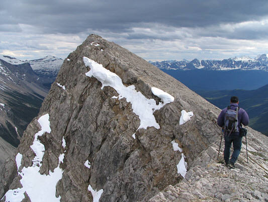 There are a couple of annoying false summits along the way.