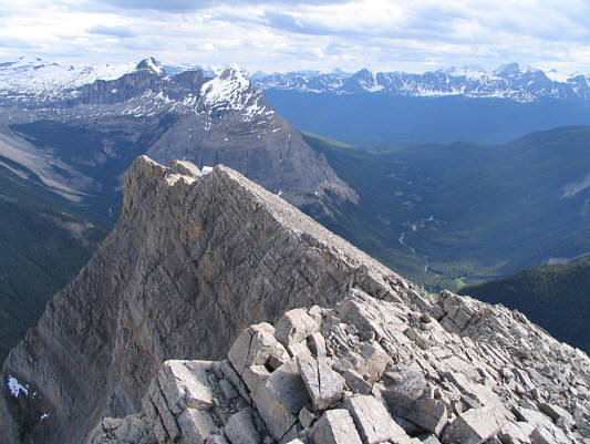I had thought about approaching Anthozoan Mountain from Baker Creek.