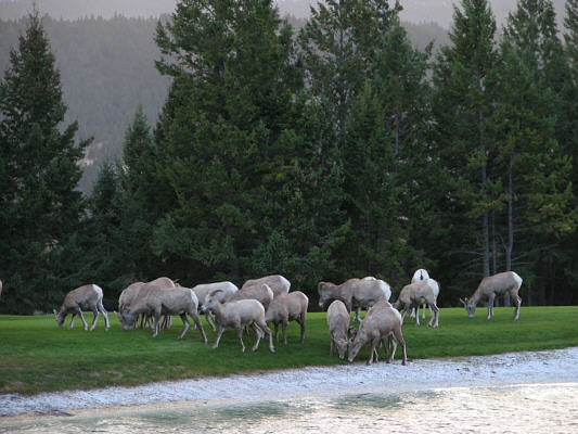 This was looking out the back porch of our condo unit.