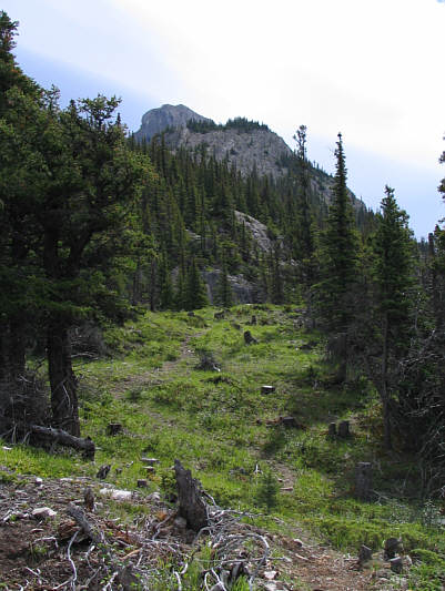 You're only halfway there when you reach the high point in the photo!