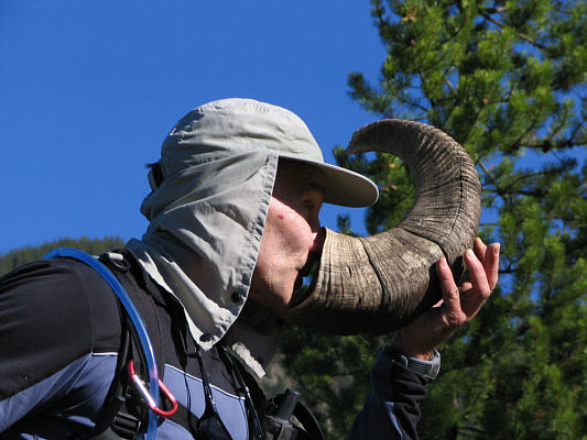 Dinah wouldn't touch this thing with a 10-foot pole!