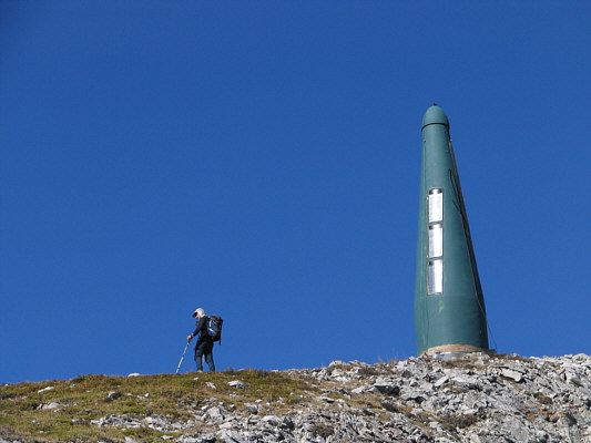 Does anybody know what these green phallic things are?