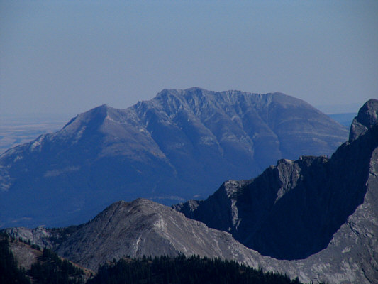 Turtles, turtles, yeah, yeah, yeah...