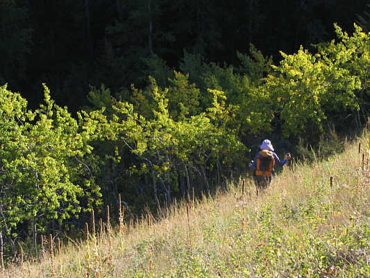 The last hundred metres or so of this trip really, really suck!