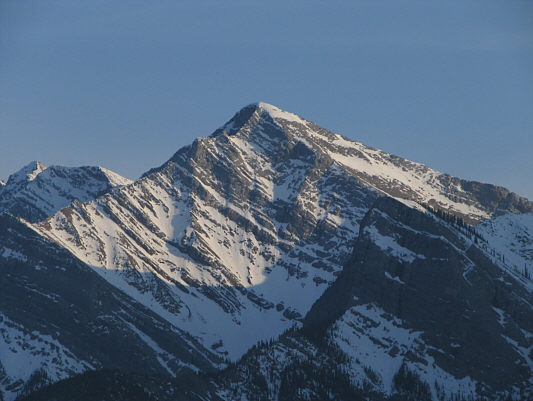 Looks like a good scramble.