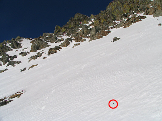 Even the bugs want to climb Mount Fisher!