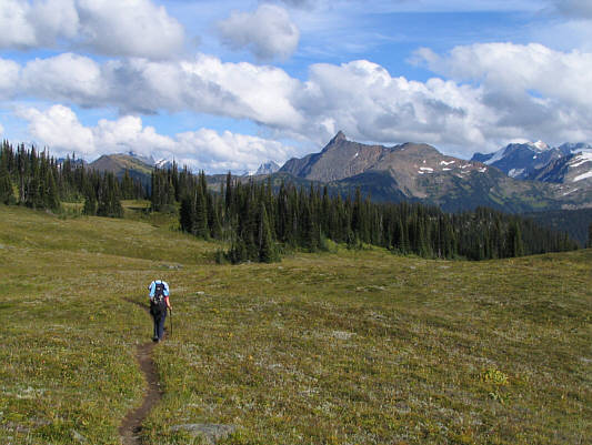 Ho hum.  More subalpine meadows...