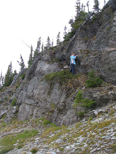 Some tree branches made this section a little awkward.