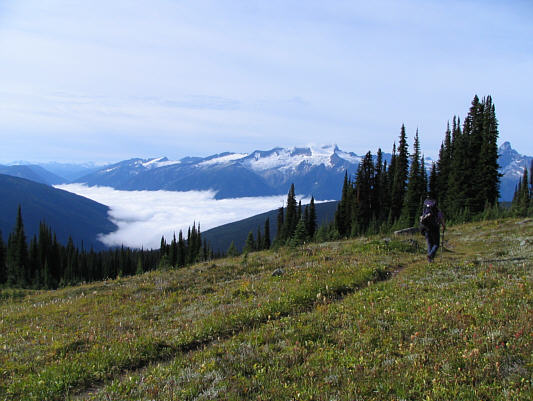 Makes you wanna sing, doesn't it?