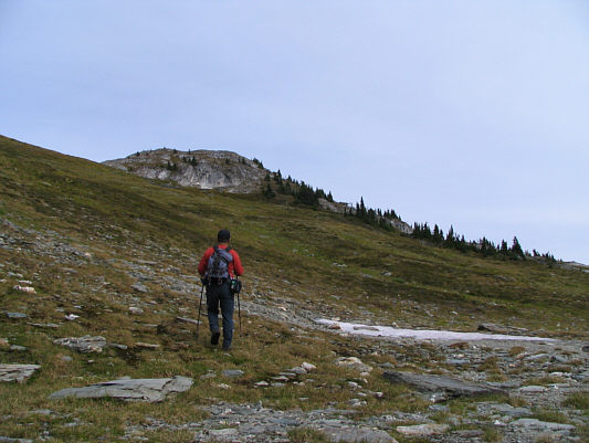 This would be a great peak to toboggan in the winter!