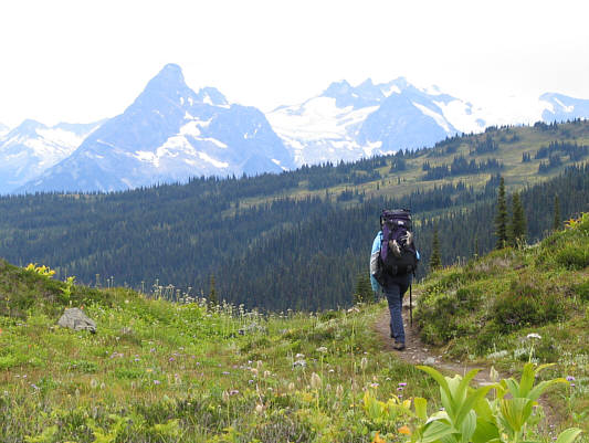 We're about halfway between Standard Cabin and the trail head here.