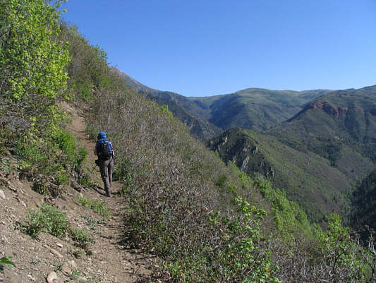 The grade is a bit too gentle for my liking.  Lotsa back and forth going up the ridge.