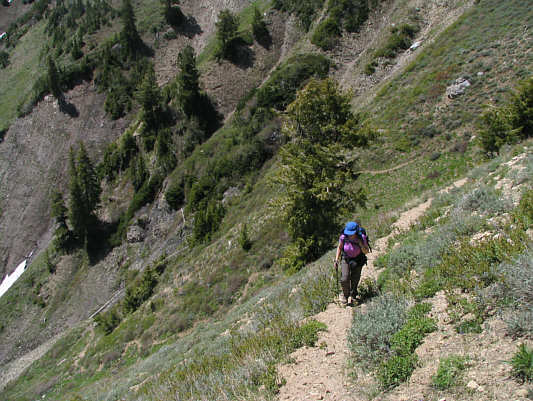 For switchback lovers!