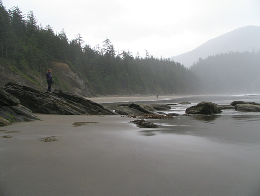 This beach is immensely popular with surfers.