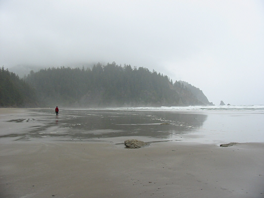 Wish I had a metal detector!