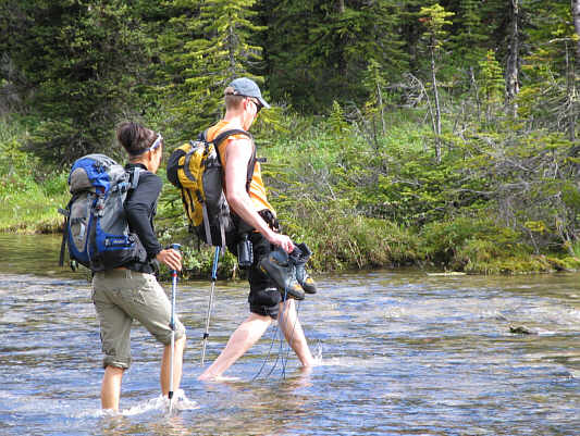 Fords are so much fun!