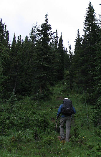 This was a nice short cut through the trees.