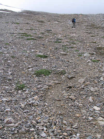 If you look closely, you can see the trail that Wietse is following.