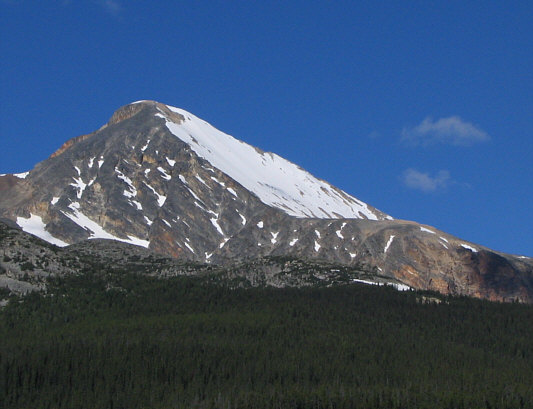 Doesn't that snow slope look enticing?