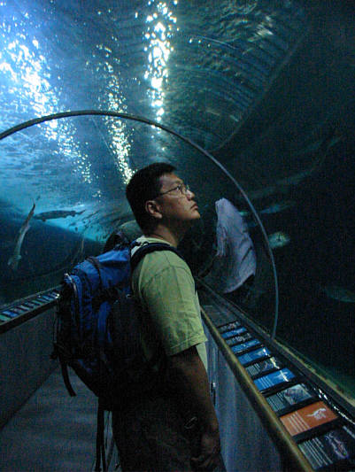 There's even a conveyer belt to keep people moving!