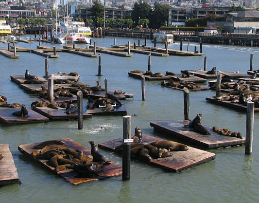 Oor, oor, oor, oor, oor...