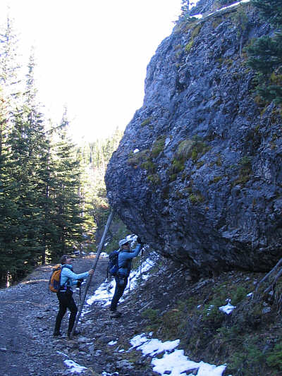 That's one sturdy stick that Dinah is holding!