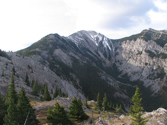 Very pleasant, easy hiking here.