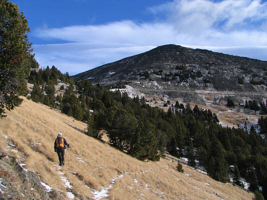 Nice to finally clear the trees!