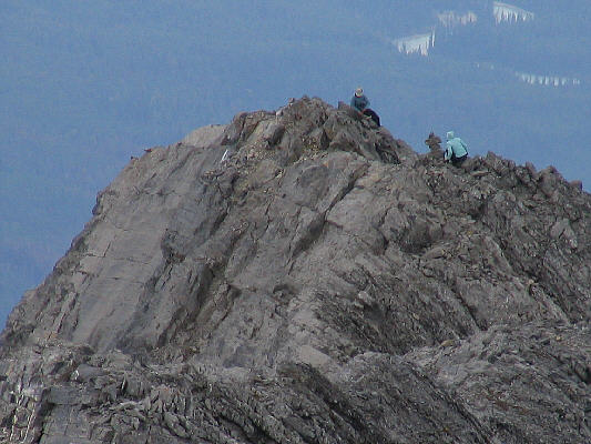 I wonder what they're doing over there...