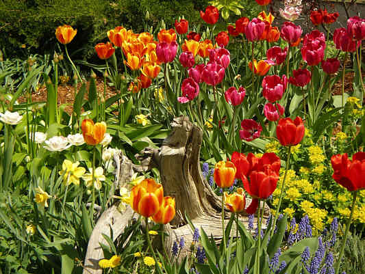 Kelly's garden was a hit with everyone.