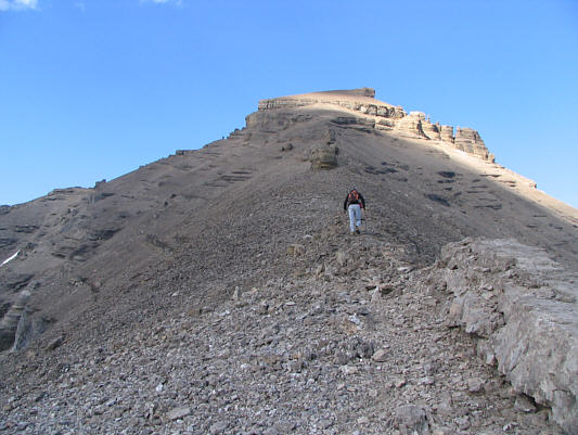 Paul was like the Energizer Bunny!