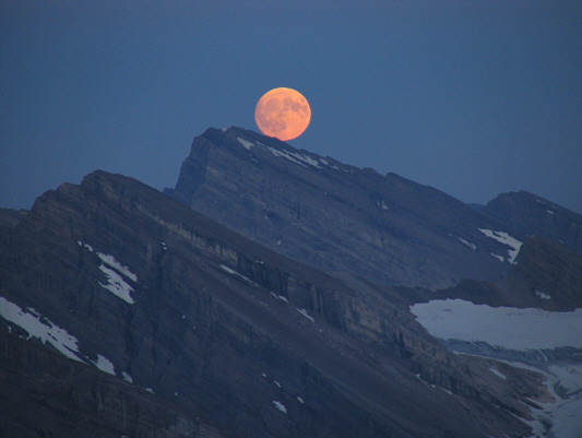 Might explain the lunacy in climbing Mount Willingdon!