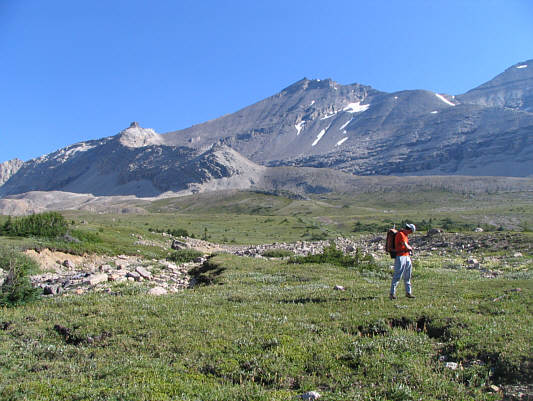 It's too bad we couldn't stay longer.