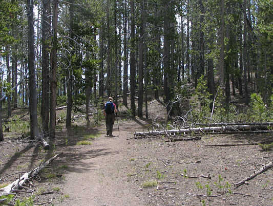 The summit has roughly this same view!