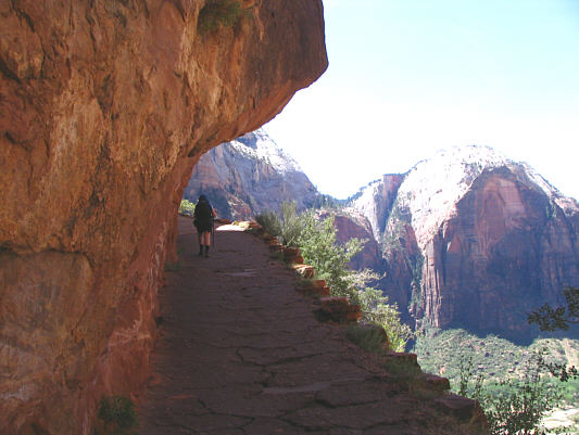 A lot of effort must have gone into building this trail.