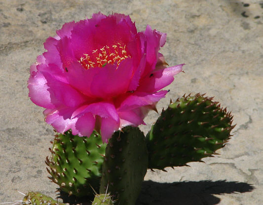 A nice reward for making it to the top!