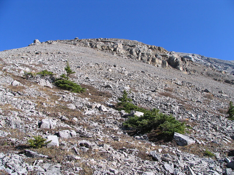 Good time to think about philosophy, limericks, and sex!