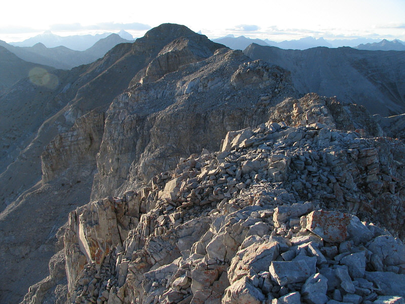 I have about an hour of daylight left.