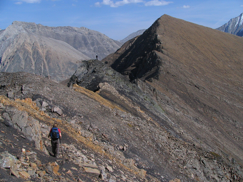 A nub-bagger's paradise!