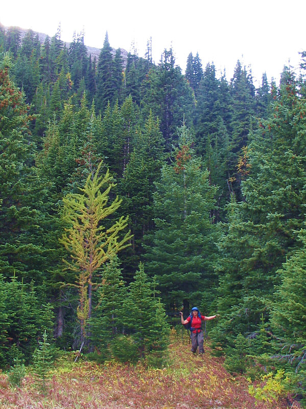 The trip wouldn't be complete without a little bushwhacking!
