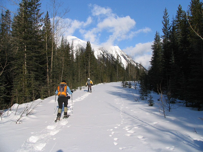 Pretty easy...so far!