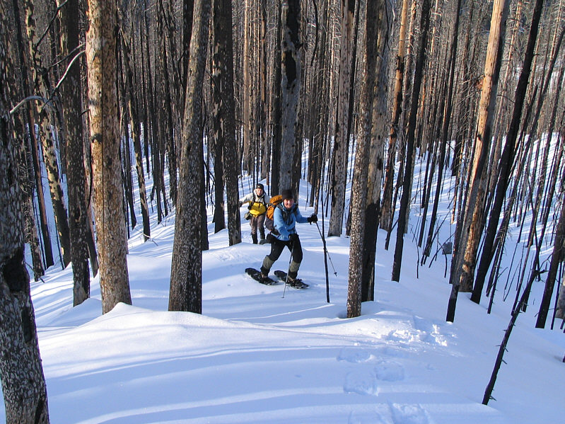 Not a lot of privacy if you need to make a pit stop!