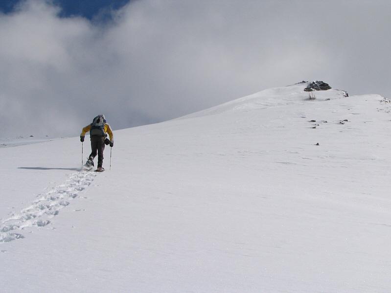 Bob's like the Energizer Bunny! He just keeps going and going...